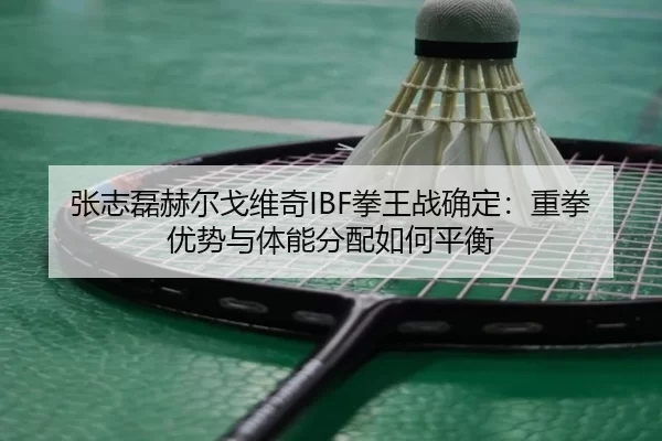 zhang-zhi-lei-he-er-ge-wei-qi-quan-wang-zhan-que-ding-zhong-quan-you-shi-yu-ti-neng-fen-pei-ru-he-ping-heng-2-342.jpg